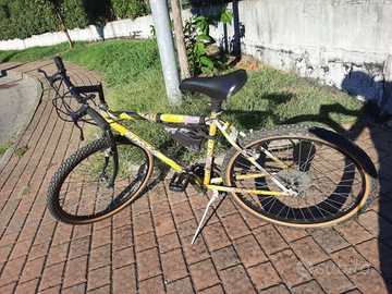 Bicicletta da uomo/ragazzo