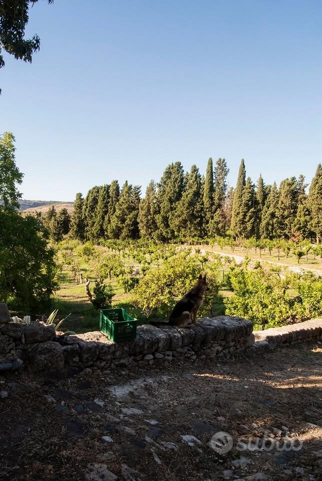 Terreno con bando misura 5.2 - Vista 3