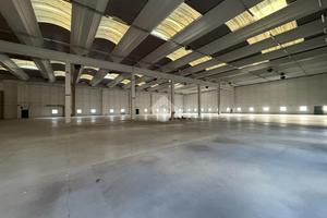 CAPANNONE A CHIUPPANO