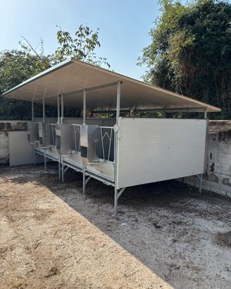 Box per vitelli da svezzamento - struttura zincata