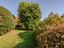 Immagine 20