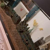 decorazioni per acquario