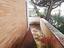 Immagine 19