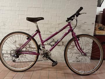 bicicletta