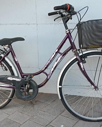 Bicicletta da città