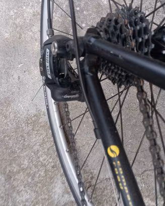 bicicletta da corsa 