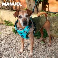 Una nuova famiglia per il piccolo Manuel