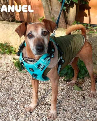 Una nuova famiglia per il piccolo Manuel