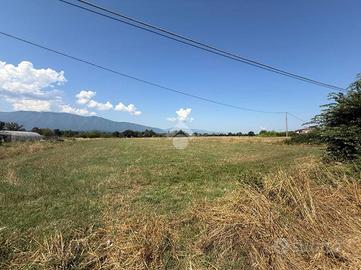 TER. AGRICOLO A FERENTINO