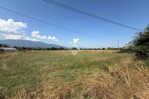 TER. AGRICOLO A FERENTINO