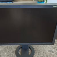 Eizo CG243W 24'