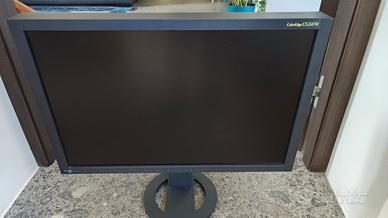 Eizo CG243W 24'