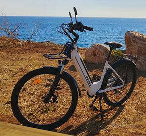 Bicicletta con pedalata assistita 