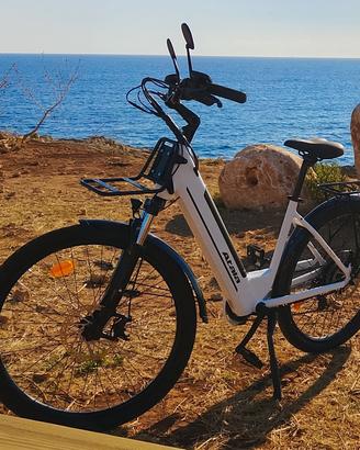Bicicletta con pedalata assistita 