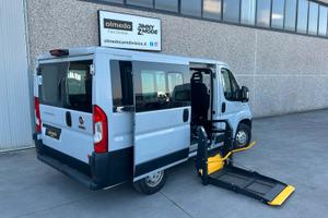 Fiat Ducato TRASPORTO DISABILI Tetto basso