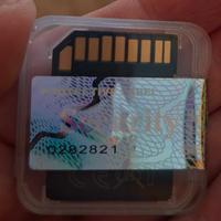 Tessera navigatore Micra 2023