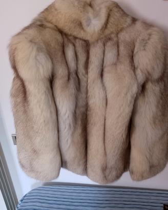 pelliccia  di volpe 
