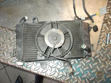 Duke 125 : farfallato carter testa campana