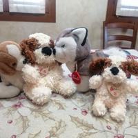 Cagnolini originali trudy