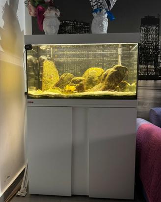 Acquario Eheim Vivaline Led 126 litri