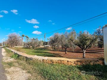 Terreno agricolo di 19400m2 edificabile e frazion