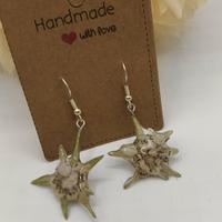 Orecchini con stelle alpine vere