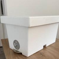 Apicoltura Nucleo di fecondazione api regine lyson