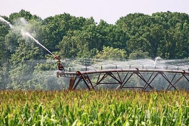 TERRENO AGRICOLO in BORGO VENETO (PD)