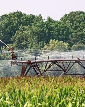 TERRENO AGRICOLO in BORGO VENETO (PD)