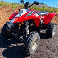 Altro Altro modello - 2008