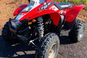 Altro Altro modello - 2008