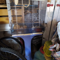 Voliera gabbia per uccelli