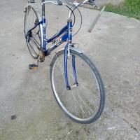Bici da donna