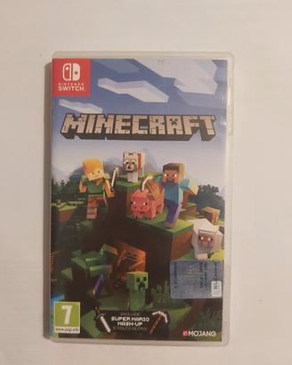 Minecraft edizione super Mario bros 