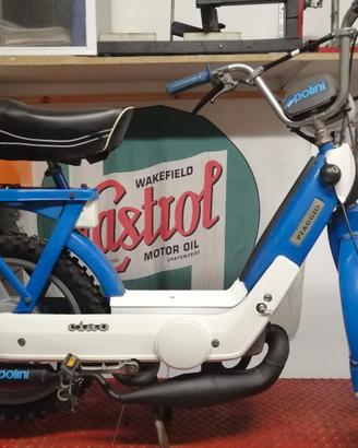  Ciao piaggio 