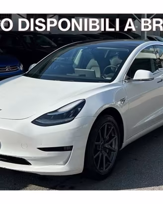 TESLA Model 3 Standard RWD Plus