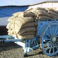 Carro agricolo in legno anni '50