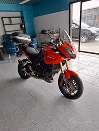 triumph tiger 1050 2010