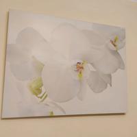 Quadro  in tela