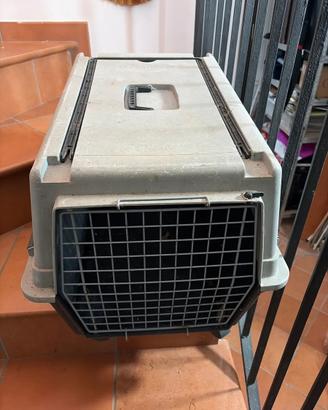 Trasportino cuccia per cani taglia media