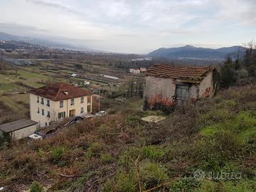 Rustico e terreno