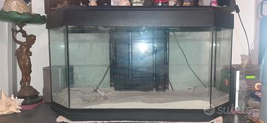 Acquario da 240lt