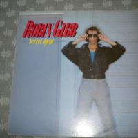 Disco vinile 33 giri