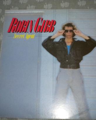 Disco vinile 33 giri