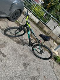 bicicletta vicini