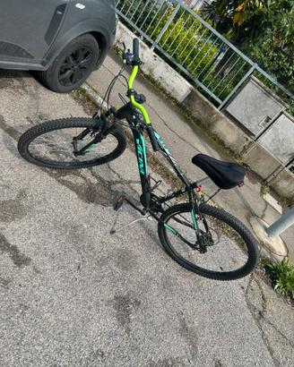 bicicletta vicini