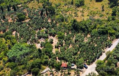 Terreno di 7283 m² a Itri
