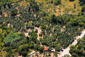 Terreno di 7283 m² a Itri