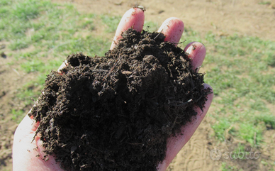 🌱 Terriccio compost con lombrichi (100% autoprodo