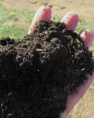 🌱 Terriccio compost con lombrichi (100% autoprodo